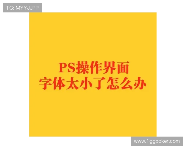 如何在PA官网上找到合适的解决方案